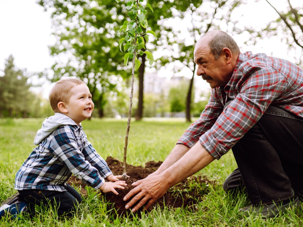 Young People Incentives Insufficient Against Depopulation