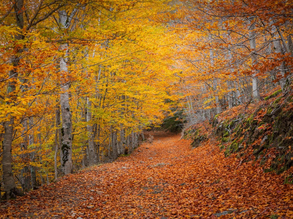 Routes through Portugal to enjoy the upcoming holiday