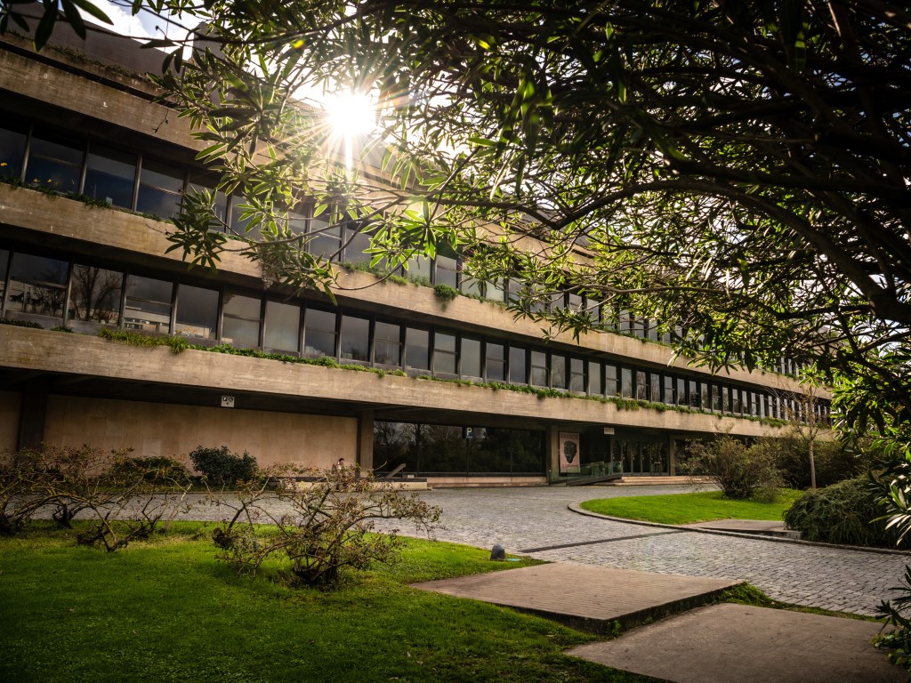 Gulbenkian programme supports young talents