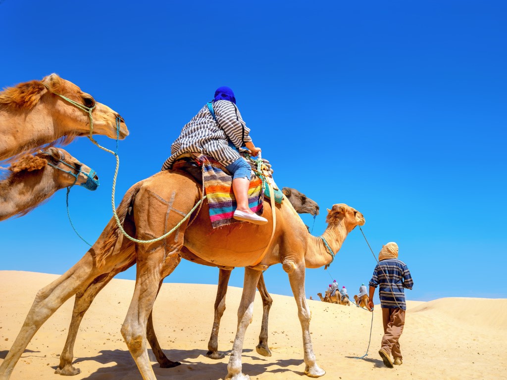Tunisia: an unforgettable route between desert and sea