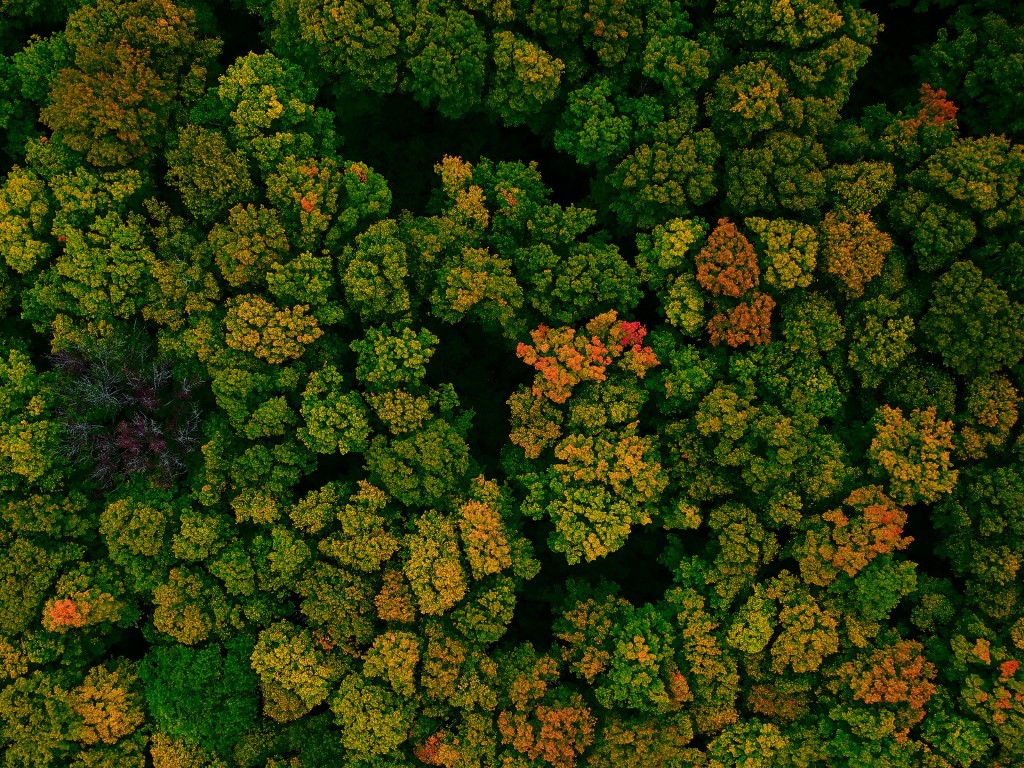 Nature restoration plan invests 500M/year