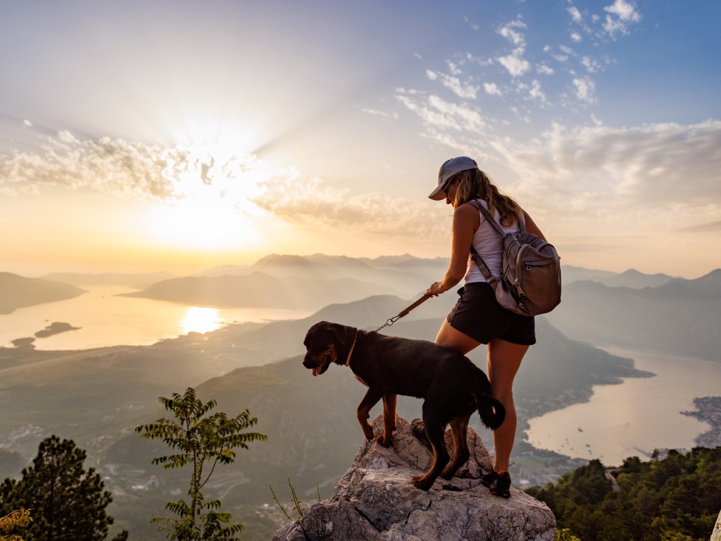 Travelling with pets in the EU: new rules in force