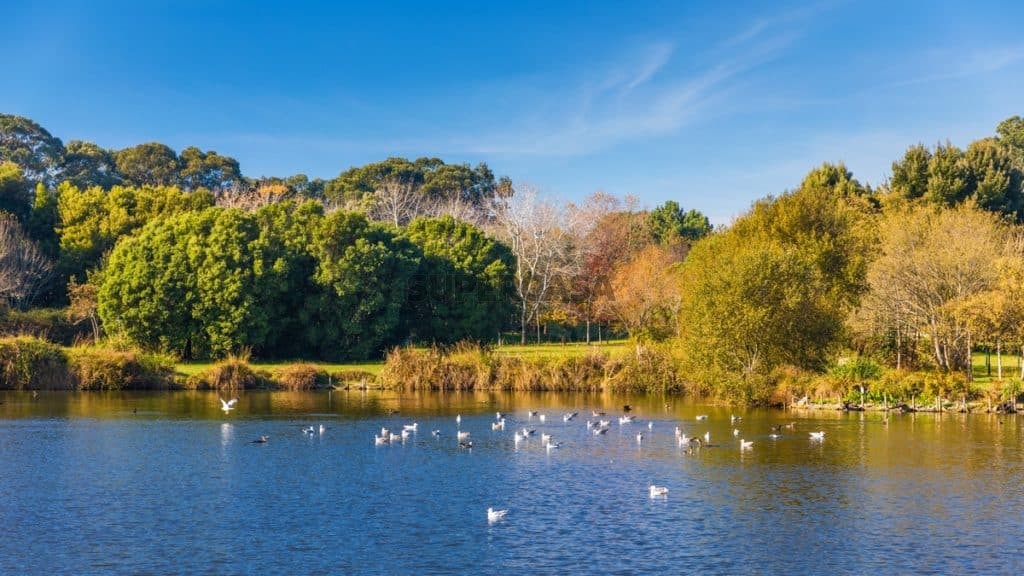 Apartamento à venda em Aldoar, Foz do Douro e Nevogilde