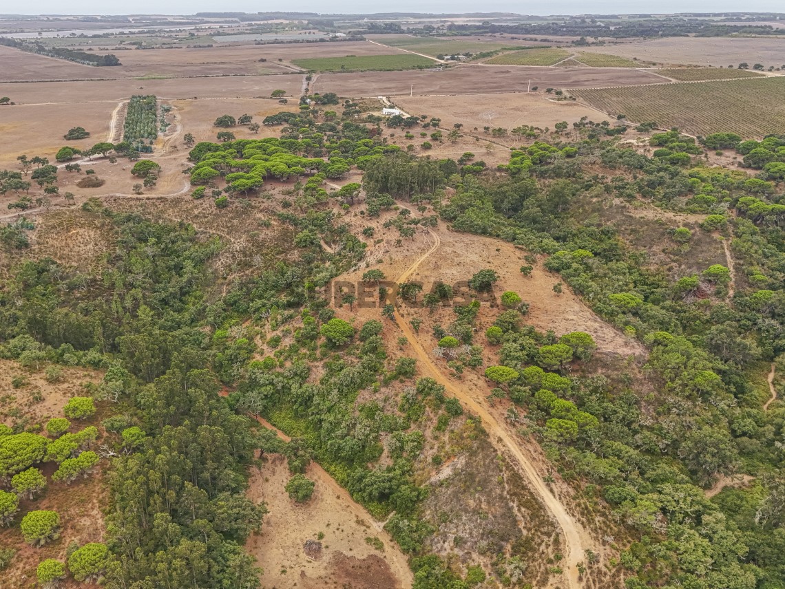 Herdade - Rio Mira - Vila Nova e Milfontes