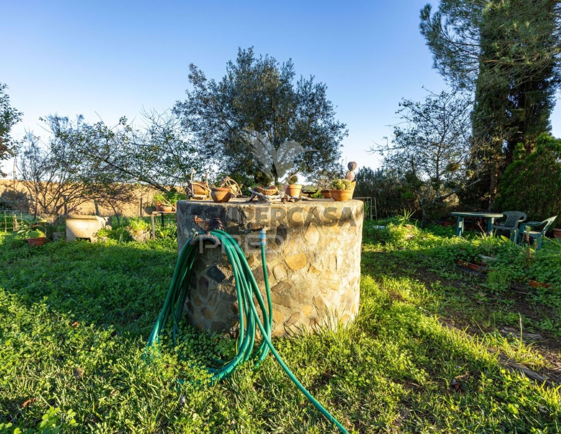 Finca Alentejana 3 habitaciones en venta en São Teotónio