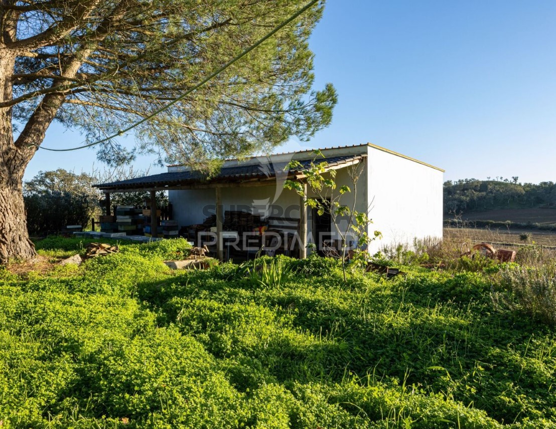 Finca Alentejana 3 habitaciones en venta en São Teotónio