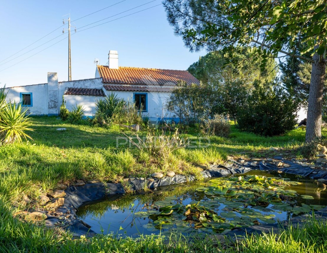 Finca Alentejana 3 habitaciones en venta en São Teotónio