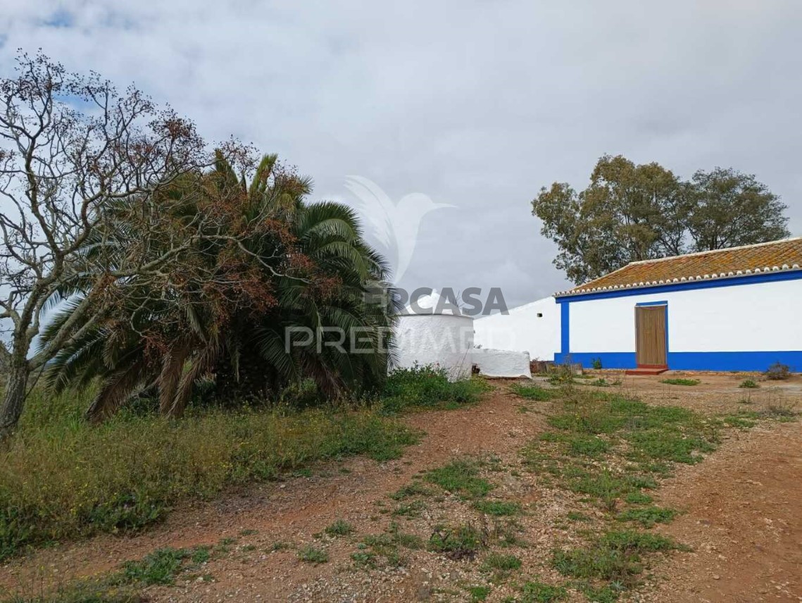 Corps de ferme de l'Alentejo 4 Chambres vendre au Serpa (Salvador e Santa Maria)