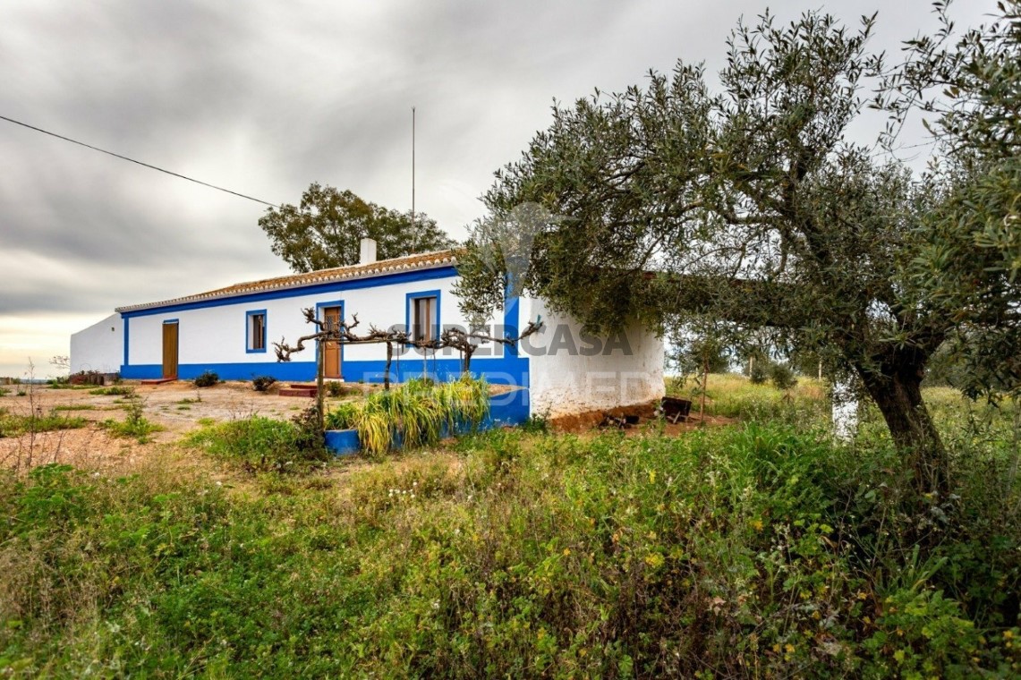 Corps de ferme de l'Alentejo 4 Chambres vendre au Serpa (Salvador e Santa Maria)