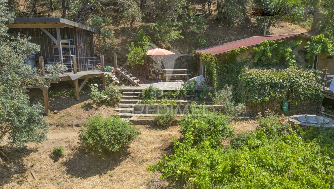 Finca ganadera en venta en São Martinho das Amoreiras
