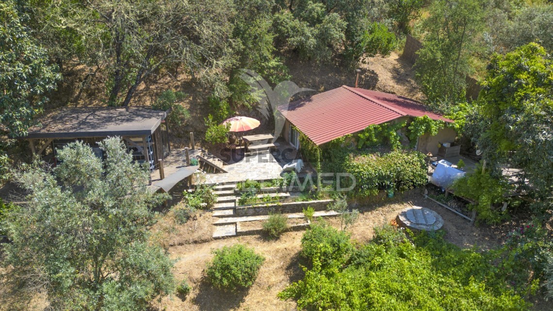 Finca ganadera en venta en São Martinho das Amoreiras