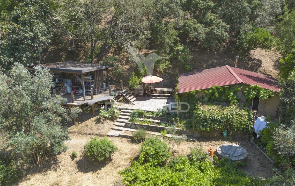 Finca ganadera en venta en São Martinho das Amoreiras