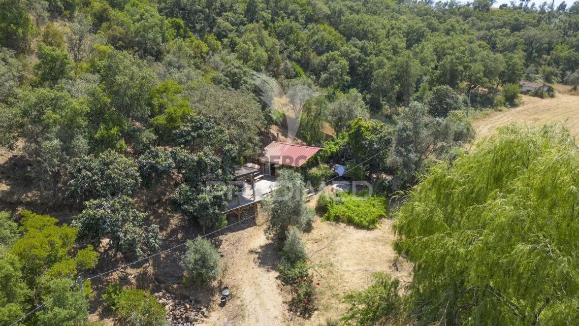 Finca ganadera en venta en São Martinho das Amoreiras