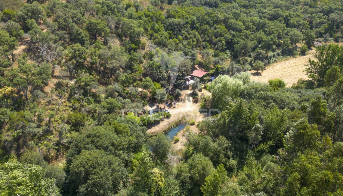 Finca ganadera en venta en São Martinho das Amoreiras