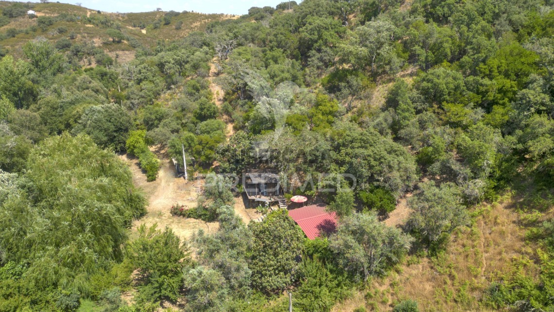 Finca ganadera en venta en São Martinho das Amoreiras