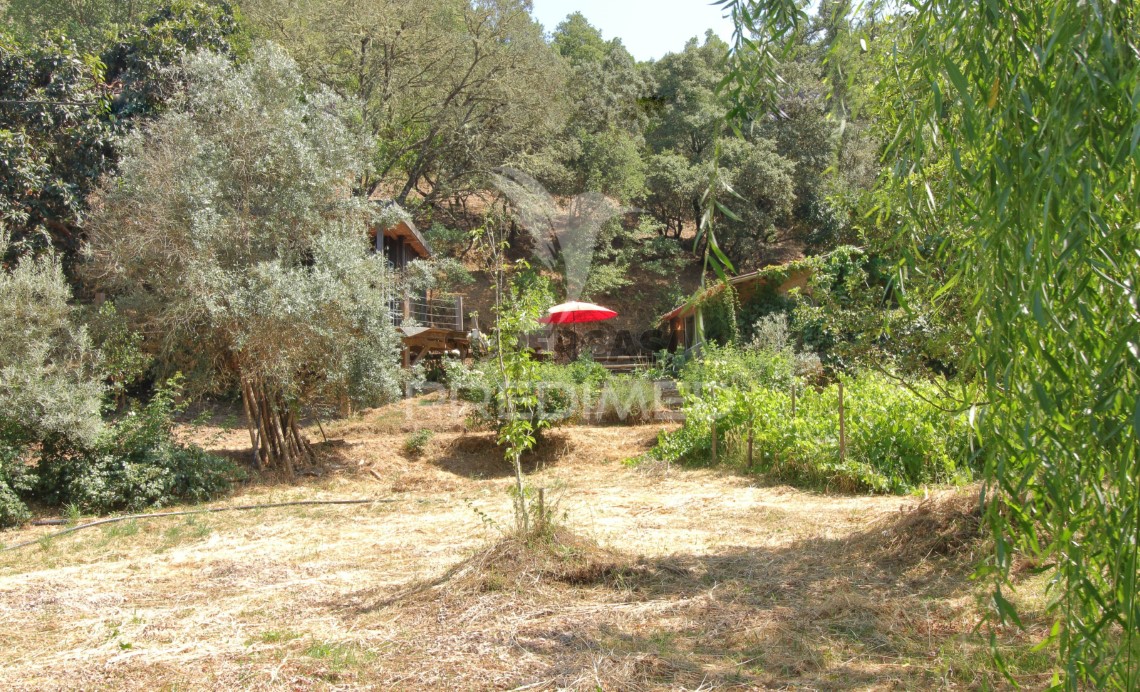 Finca ganadera en venta en São Martinho das Amoreiras