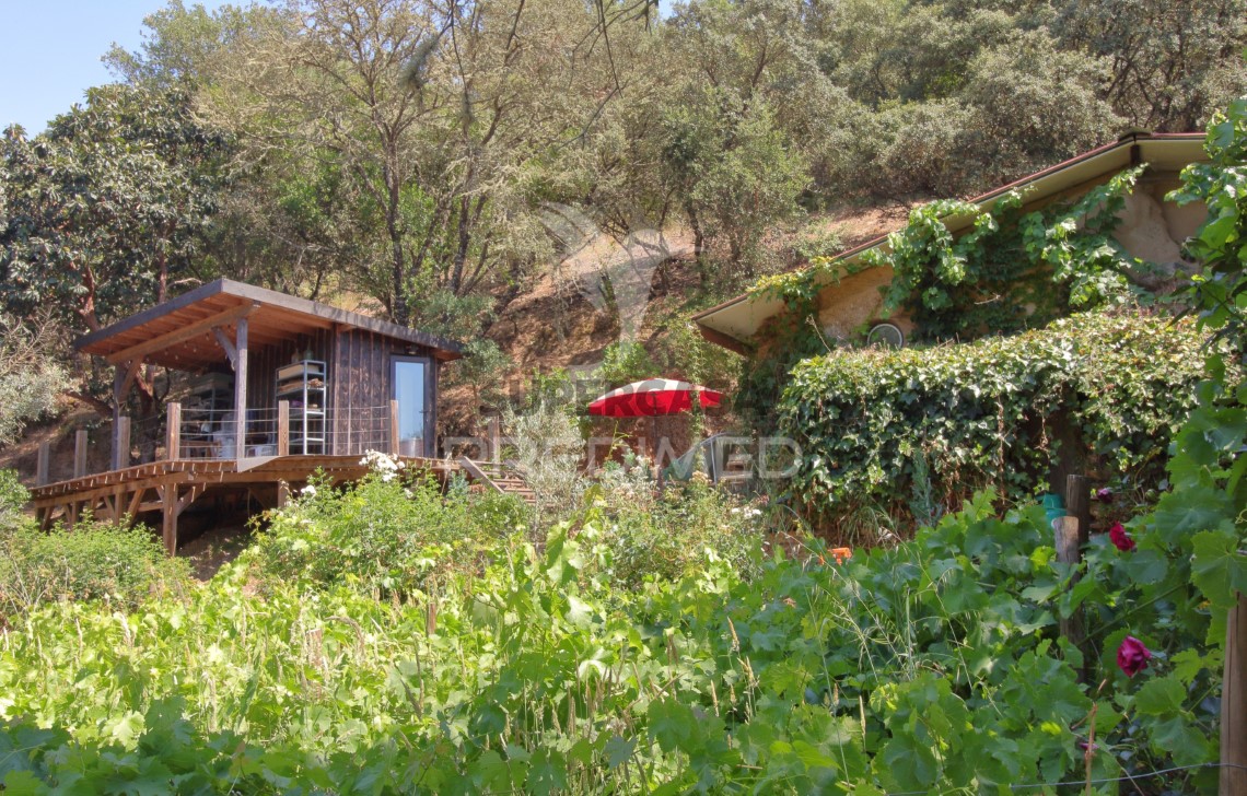 Finca ganadera en venta en São Martinho das Amoreiras