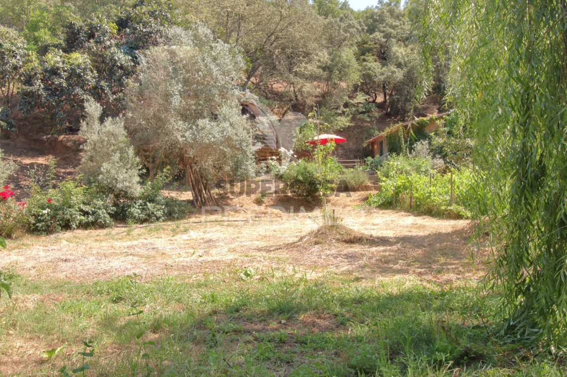 Finca ganadera en venta en São Martinho das Amoreiras