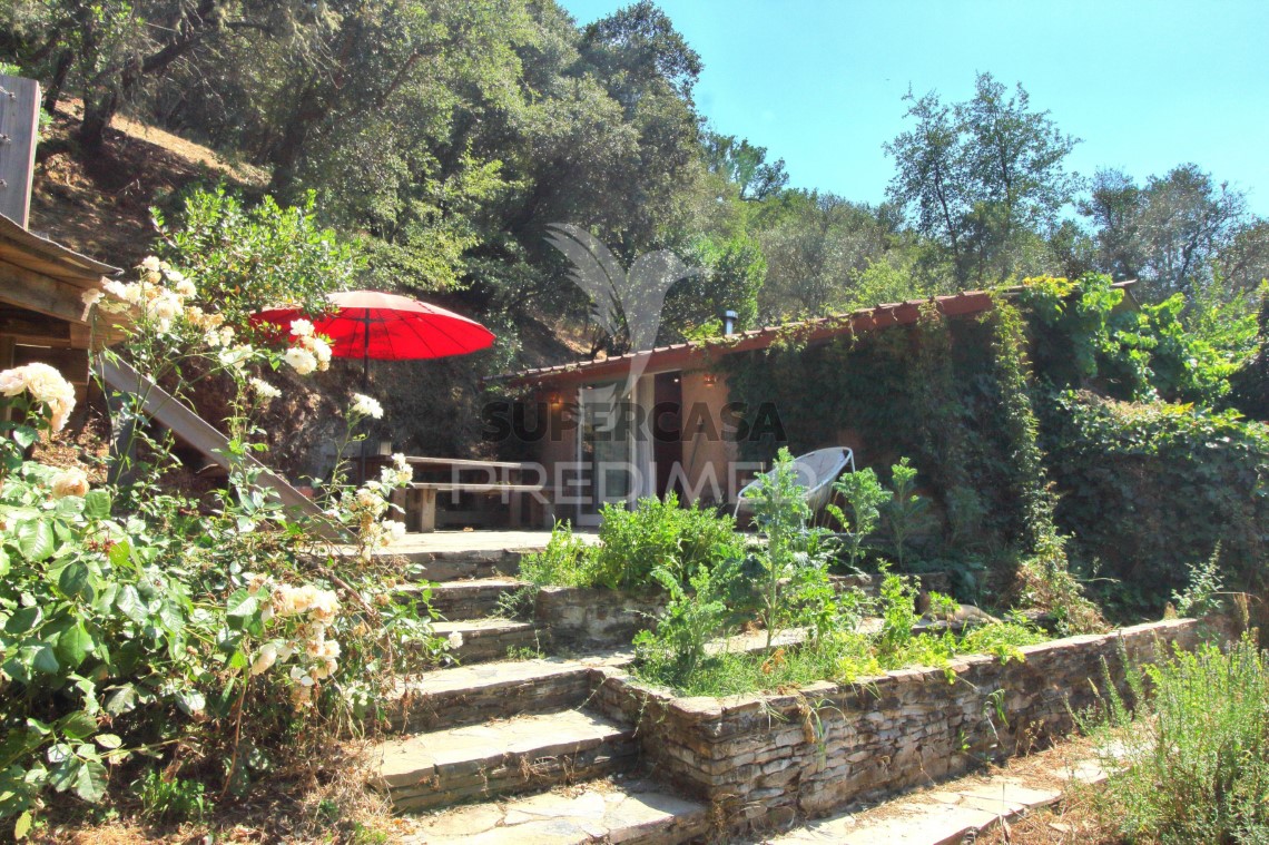 Finca ganadera en venta en São Martinho das Amoreiras