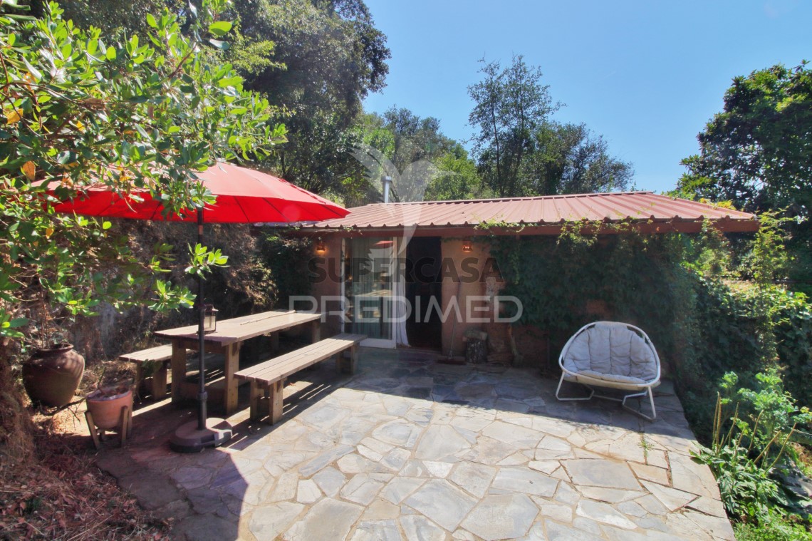 Finca ganadera en venta en São Martinho das Amoreiras