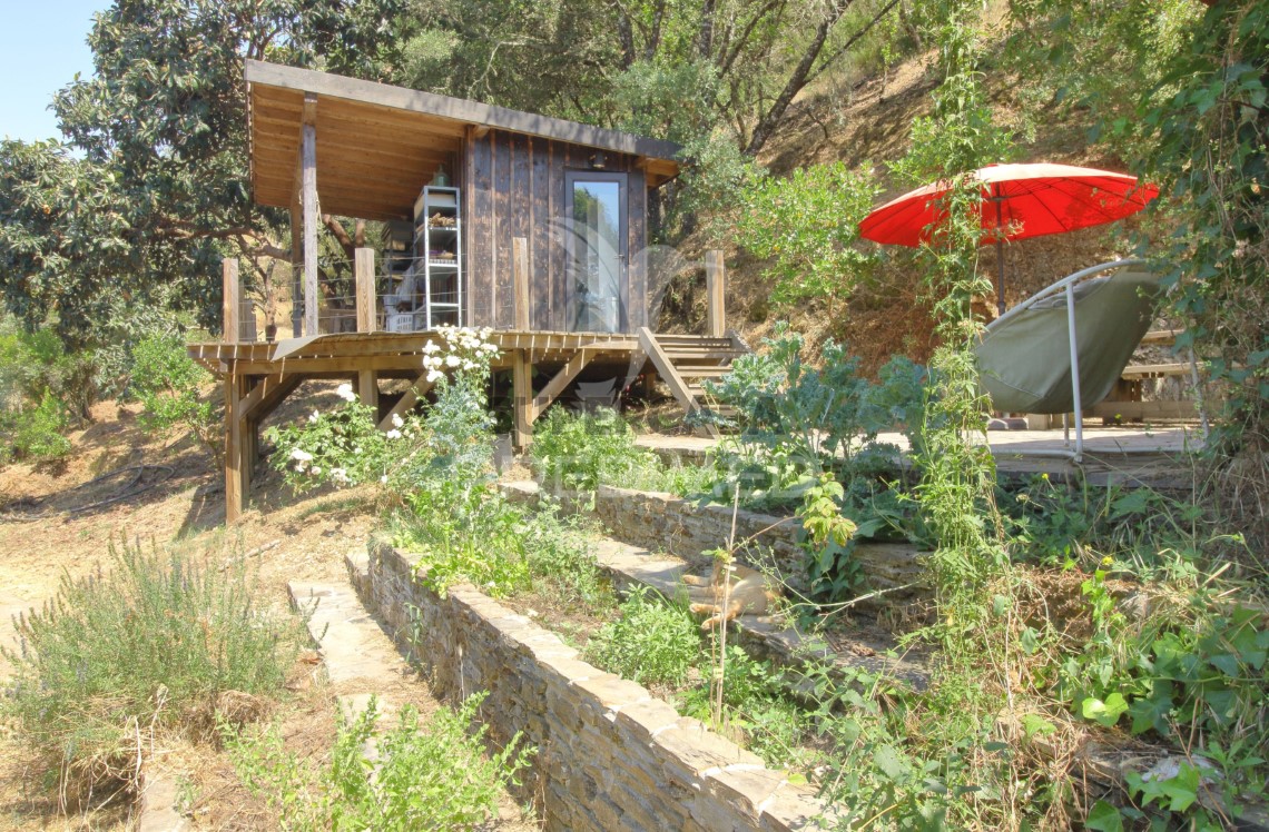 Finca ganadera en venta en São Martinho das Amoreiras