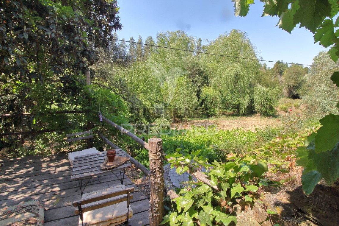 Finca ganadera en venta en São Martinho das Amoreiras