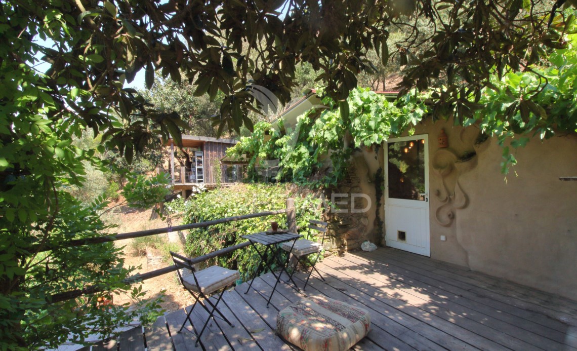Finca ganadera en venta en São Martinho das Amoreiras