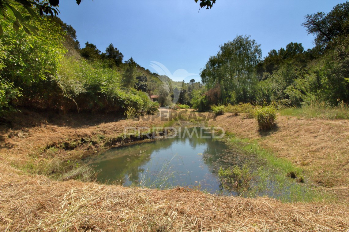 Finca ganadera en venta en São Martinho das Amoreiras