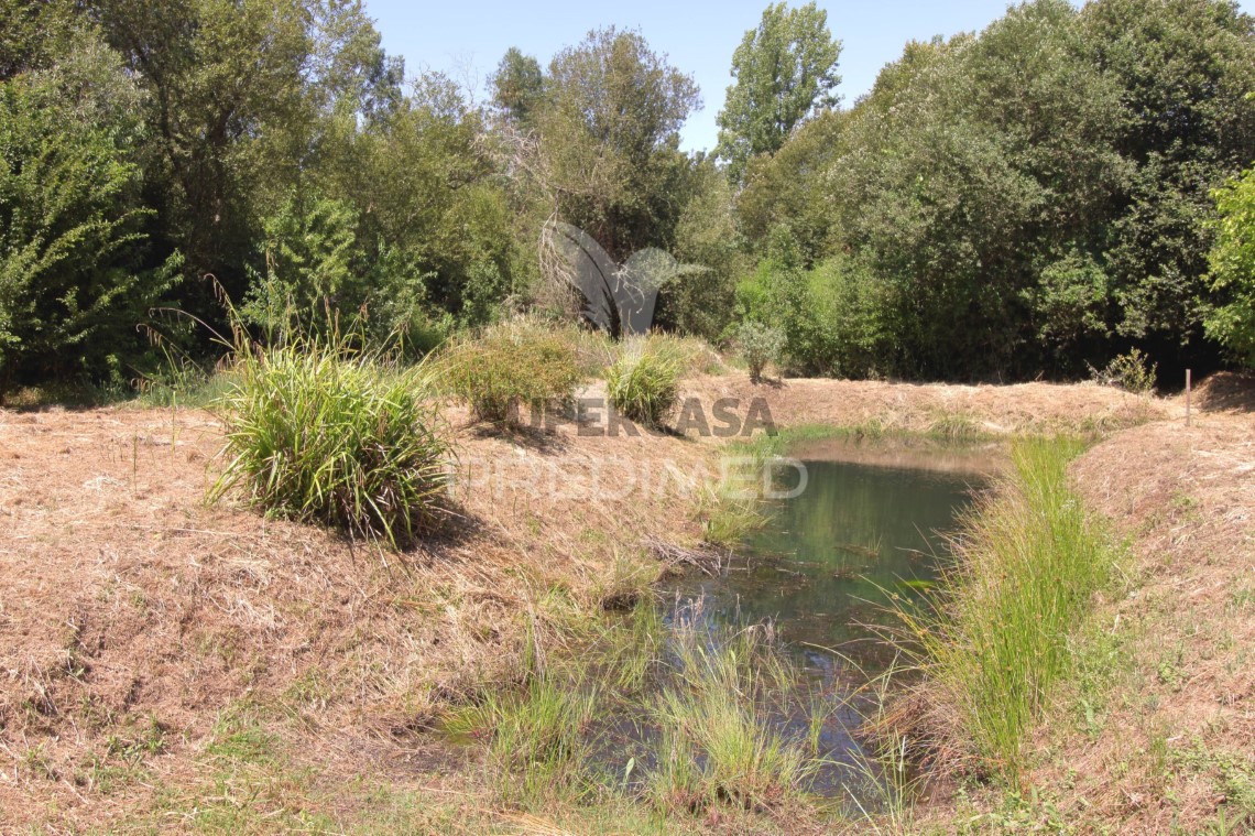 Finca ganadera en venta en São Martinho das Amoreiras