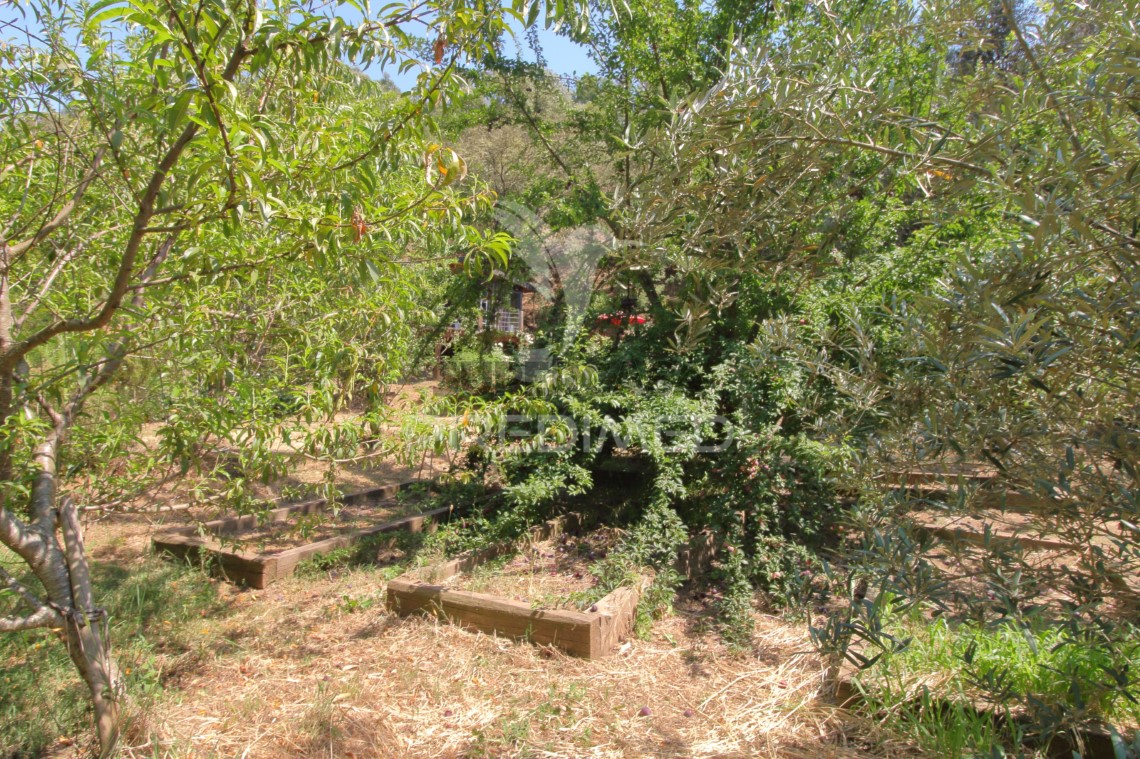 Finca ganadera en venta en São Martinho das Amoreiras