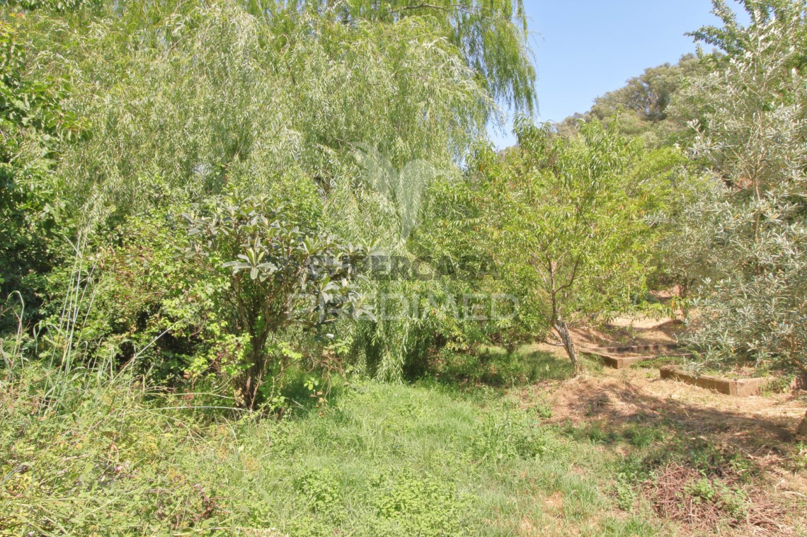 Finca ganadera en venta en São Martinho das Amoreiras
