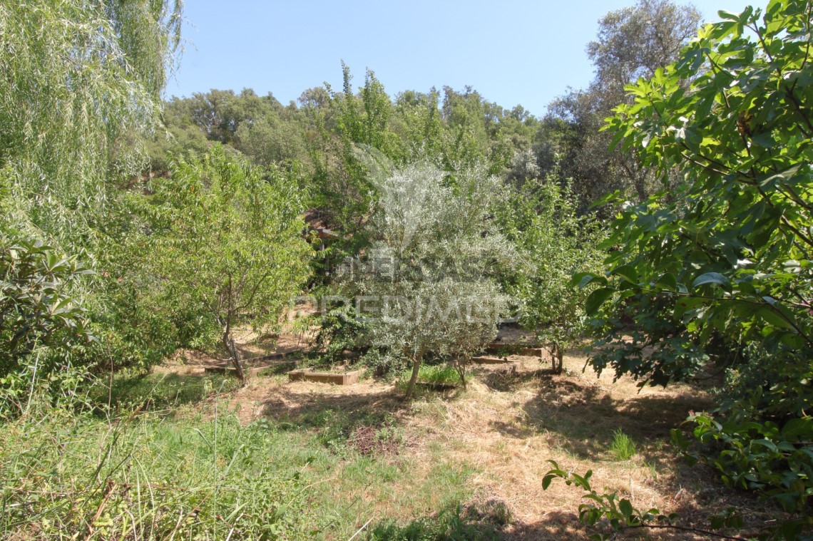 Finca ganadera en venta en São Martinho das Amoreiras