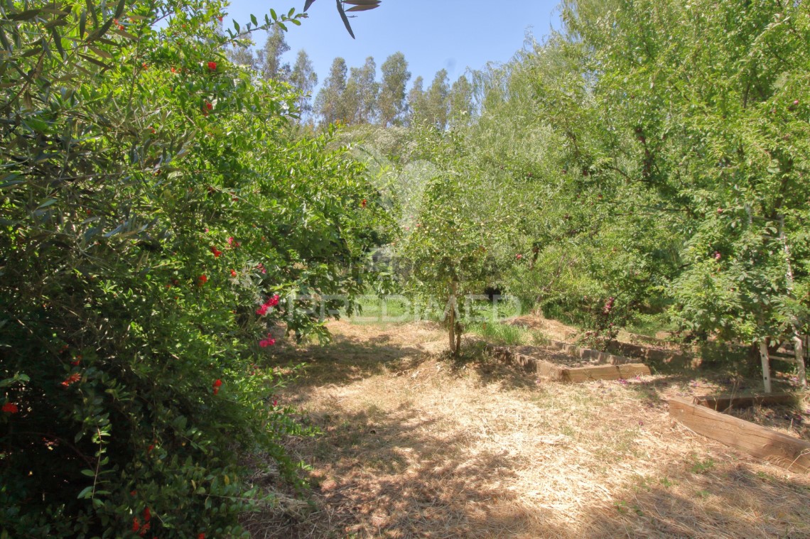 Finca ganadera en venta en São Martinho das Amoreiras