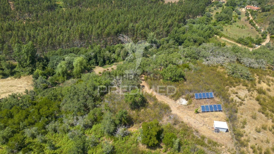 Finca ganadera en venta en São Martinho das Amoreiras