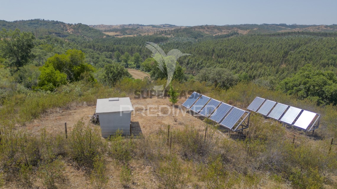 Finca ganadera en venta en São Martinho das Amoreiras