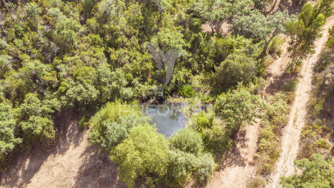 Finca ganadera 3 habitaciones en venta en São Salvador e Santa Maria