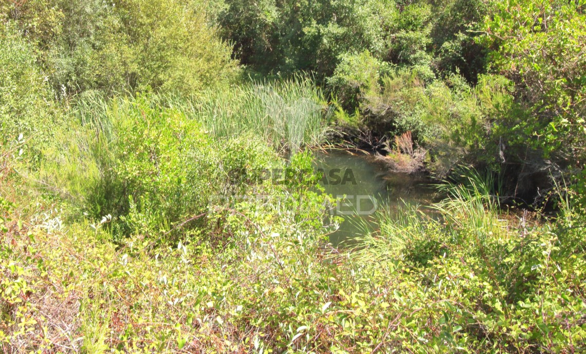 Finca ganadera 3 habitaciones en venta en São Salvador e Santa Maria
