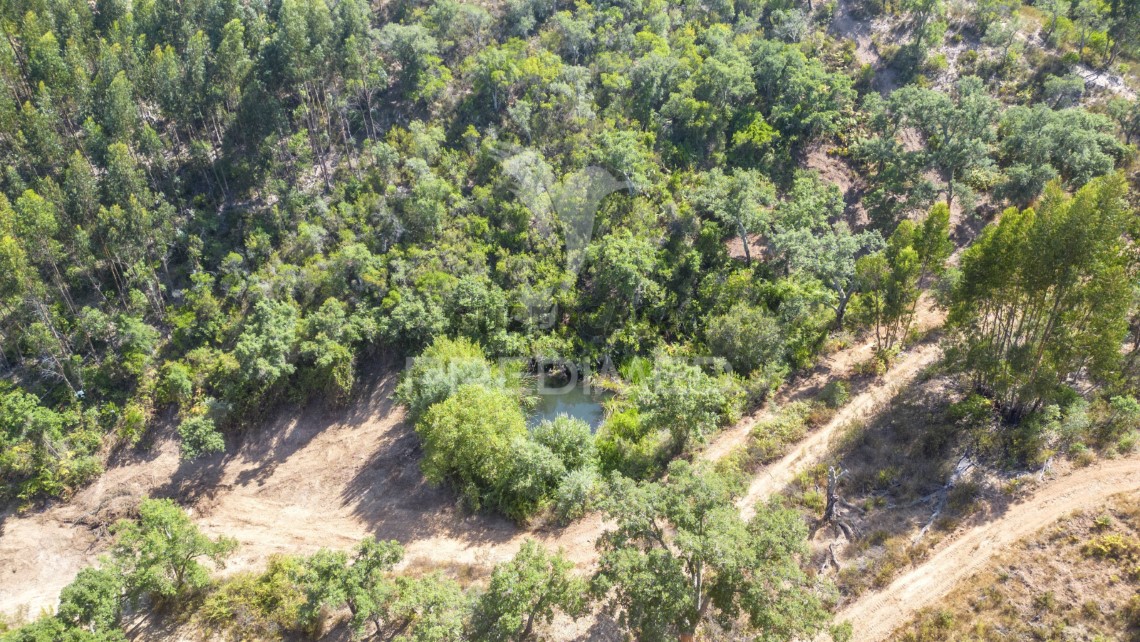 Finca ganadera 3 habitaciones en venta en São Salvador e Santa Maria