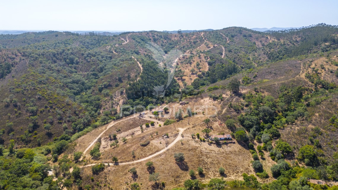 Finca ganadera 3 habitaciones en venta en São Salvador e Santa Maria