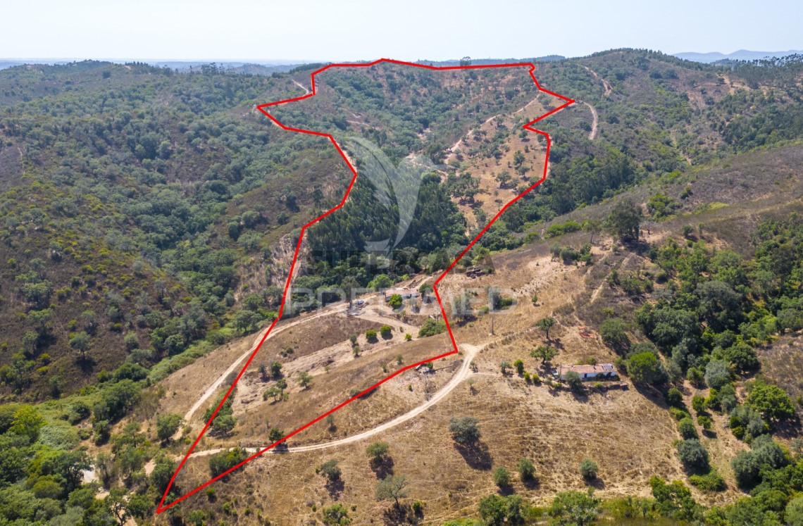 Finca ganadera 3 habitaciones en venta en São Salvador e Santa Maria