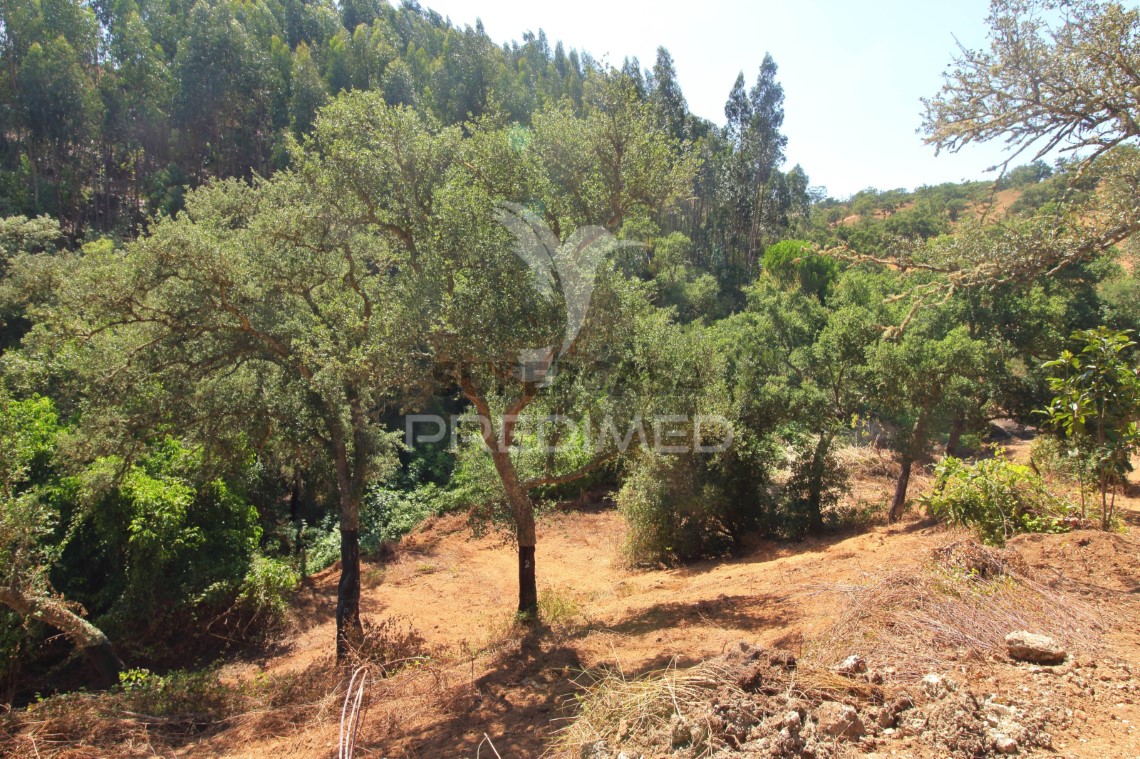 Finca ganadera 3 habitaciones en venta en São Salvador e Santa Maria