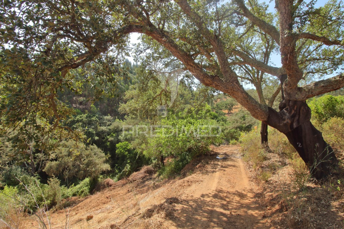 Finca ganadera 3 habitaciones en venta en São Salvador e Santa Maria