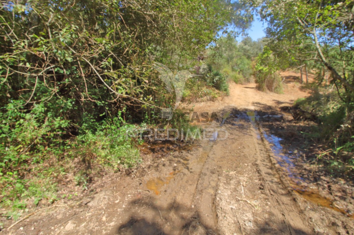 Finca ganadera 3 habitaciones en venta en São Salvador e Santa Maria