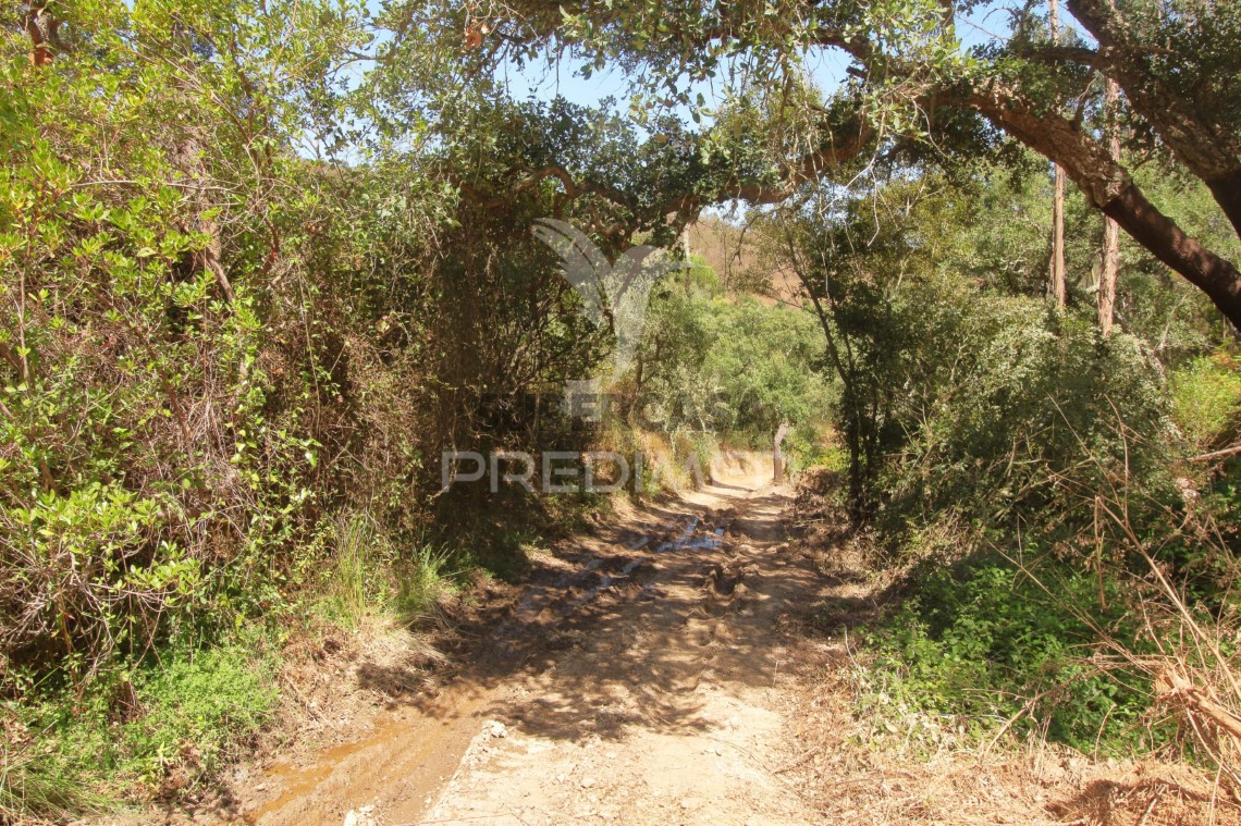 Finca ganadera 3 habitaciones en venta en São Salvador e Santa Maria