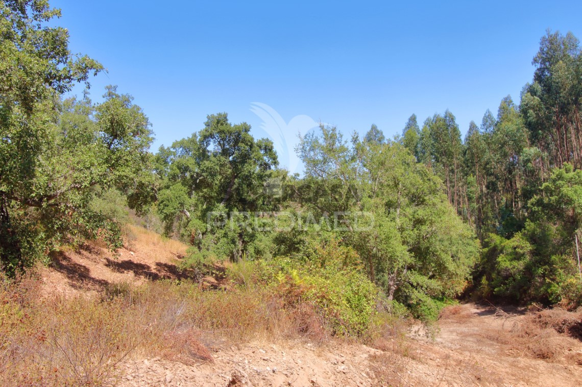 Finca ganadera 3 habitaciones en venta en São Salvador e Santa Maria