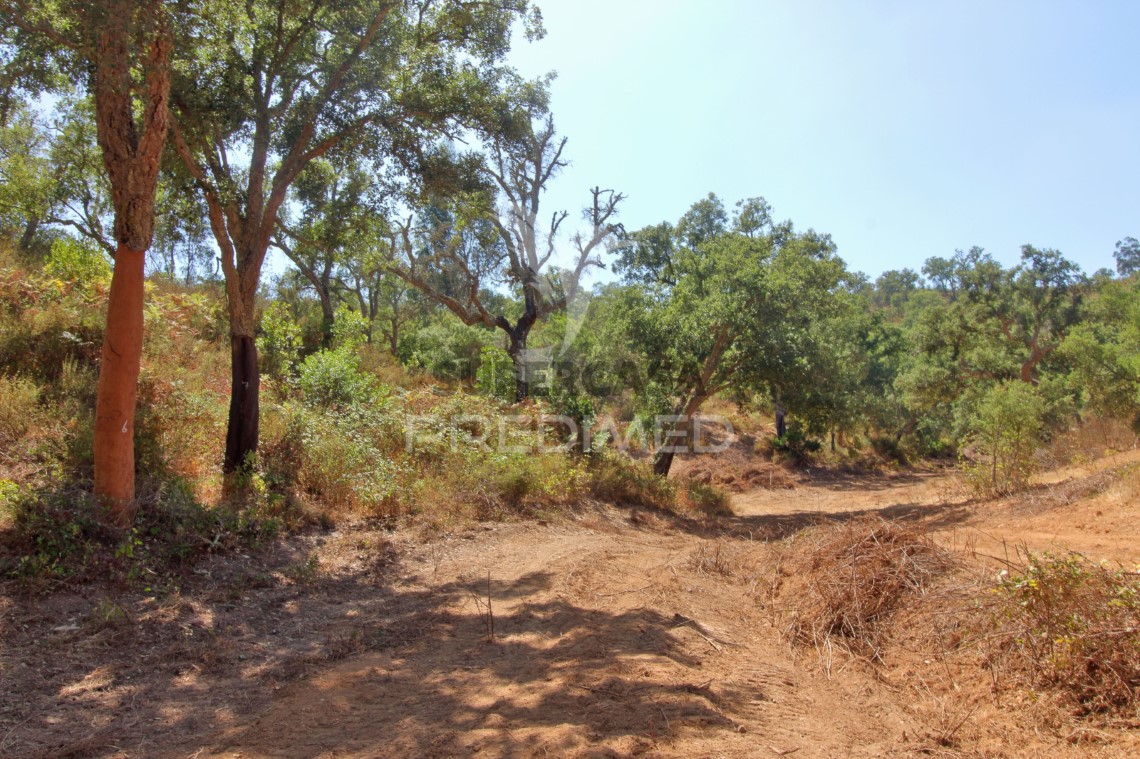 Finca ganadera 3 habitaciones en venta en São Salvador e Santa Maria