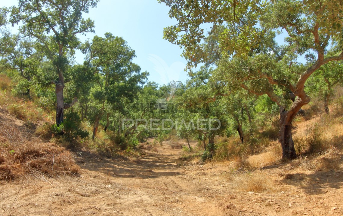 Finca ganadera 3 habitaciones en venta en São Salvador e Santa Maria