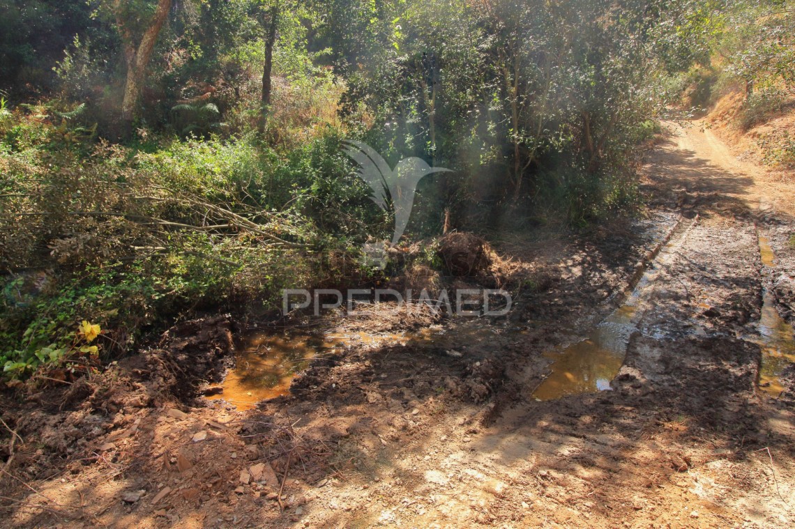 Finca ganadera 3 habitaciones en venta en São Salvador e Santa Maria