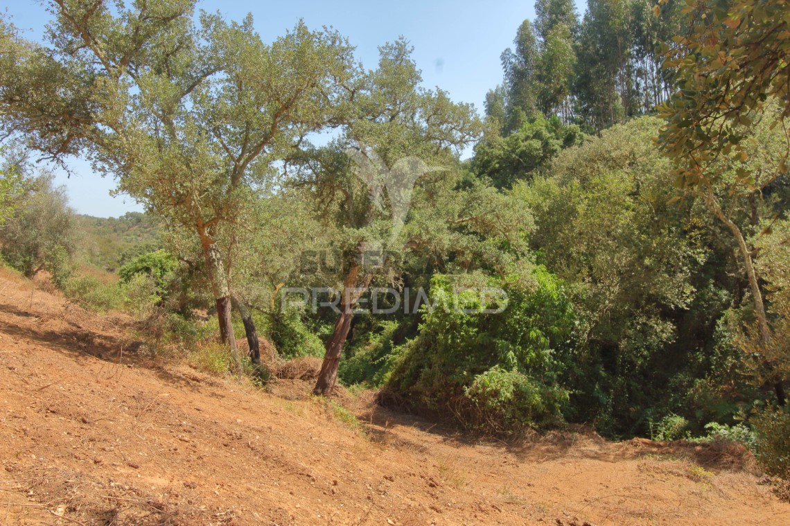 Finca ganadera 3 habitaciones en venta en São Salvador e Santa Maria