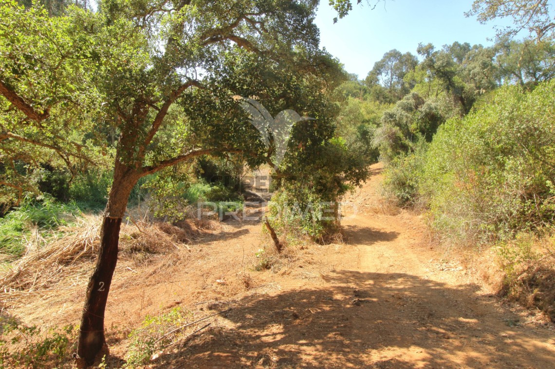 Finca ganadera 3 habitaciones en venta en São Salvador e Santa Maria